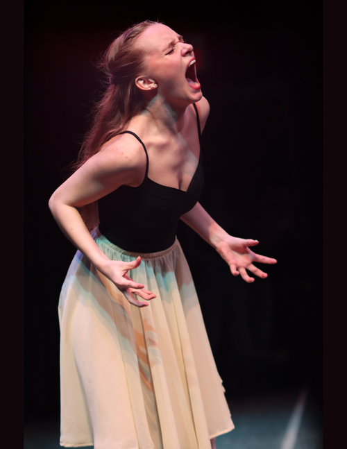 Ballet Performance Image 8