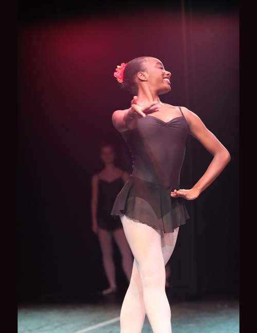Ballet Performance Image 7