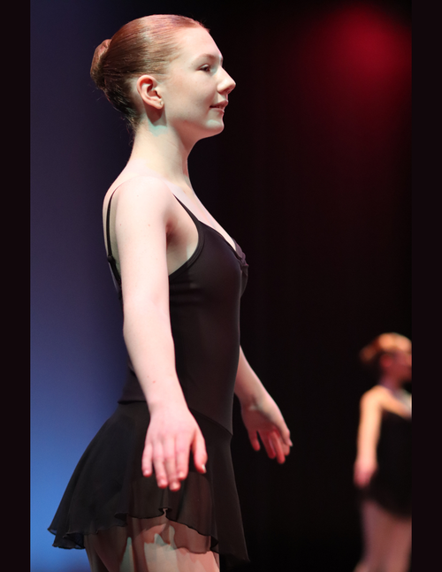 Ballet Performance Image 1