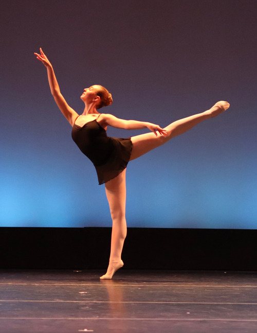 Ballet Performance Image 3