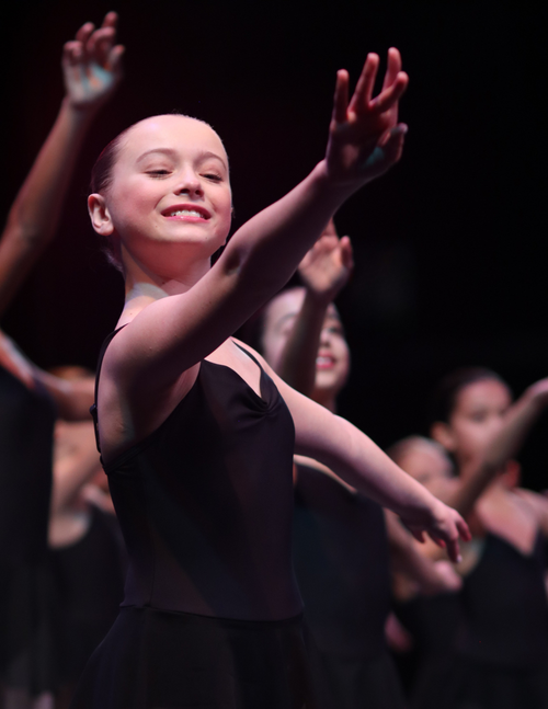 Ballet Performance Image 4