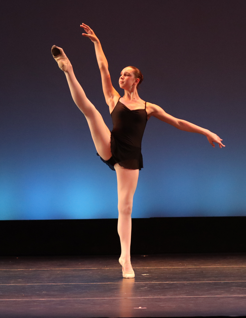 Ballet Performance Image 8